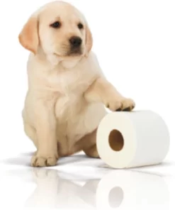 Page Toiletpapier - 32 Rollen - Kussenzacht Wc Papier (3-laags) - Voordeelverpakking -Lifestyleproducten 1001x1200 2