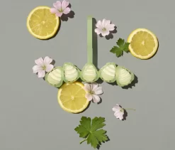 Marcel's Green Soap Toiletblok Geranium & Citroen - 55 Gram -Lifestyleproducten 1200x1023