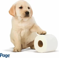 Page Toiletpapier - Eco - Duurzaam - 24 Rollen - Voordeelverpakking -Lifestyleproducten 1200x1186 1