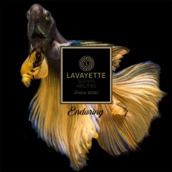 Lavayette Premium Wasparfum - Proefpakket 9x25ml - Geurbooster -Lifestyleproducten 1200x1200 29