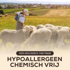 Drogerballen - Droogballen - Wasdrogerballen - Dryerballs - 6 Stuks - XL Formaat - Wol - Set -Lifestyleproducten 1200x1200 559