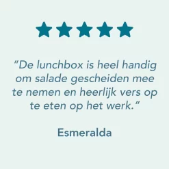 Lock&Lock Saladebox - Salade Lunchbox To Go - Salade To Go - 950 Ml - Lekvrij - Met Verdeelvakjes - Groen -Lifestyleproducten 1200x1200 729