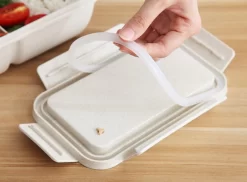 BentoBros® Duurzame Bento Box - Broodtrommel - Lunchtrommel - Lunchbox - Lunchset Voor Kinderen - Brooddoos - Duurzaam Hout - Inclusief Bestek - Voor Volwassenen En Kinderen - 0,85 Liter - Geschikt Voor Magnetron, Vriezer En Vaatwasser - Groen -Lifestyleproducten 1200x884 2